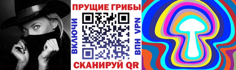 Псилоцибиновые грибы Psilocybine cubensis  Адыгейск 